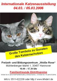 Internationale Katzenausstellung