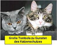 Große Tombola zu Gunsten des Katzenschutzes Große Tombola